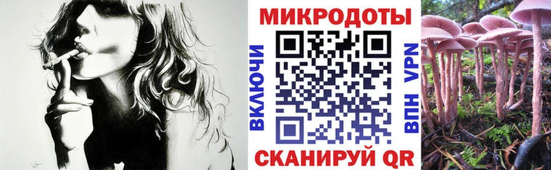 площадка телеграм  Кунгур  Псилоцибиновые грибы ЛСД 